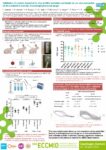 Validation of a rabbit model of in vivo biofilm formation on beads for ex vivo evaluation of the antibiofilm activity of antistaphylococcal drugs