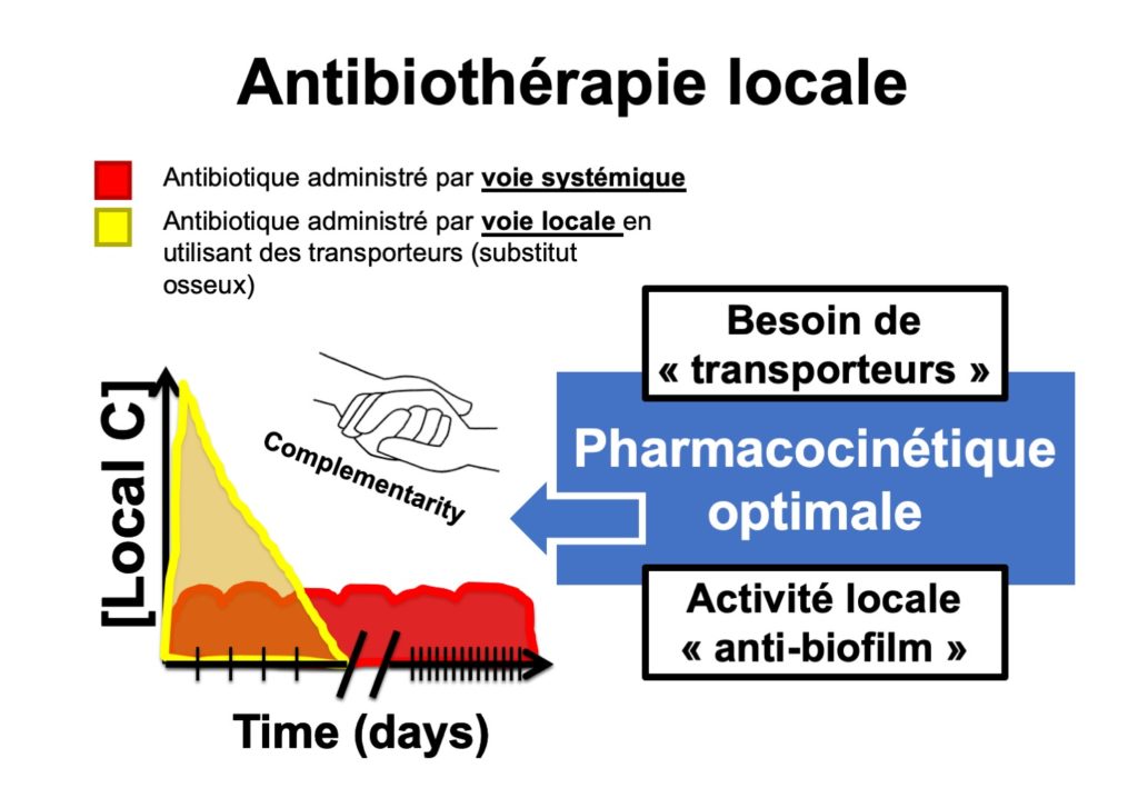 Complémentarité de l'antibiothérapie systémique (en rouge) et de l'antibiothérapie locale (en jaune) aboutissant à une pharmacocinétique en théorie "optimale"