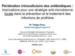 Pénétration intracellulaire des antibiotiques : Implications pour une stratégie anti-microbienne locale dans la prévention et le traitement des infections de prothèse