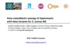 Intra-osteoblastic synergy of daptomycin with beta-lactams for S. aureus BJI