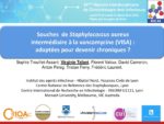 Souches de Staphylococcus aureus intermédiaire à la vancomycine (VISA) : adaptées pour devenir chroniques ?