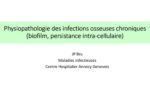Physiopathologie des infections osseuses chroniques (biofilm, persistance intra-cellulaire)