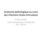 Anatomopathologie au cours des IOA