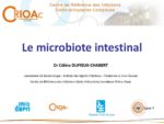 Le microbiote intestinal (généralités)