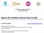 Les modèles animaux et les IOA :  apport de la littérature et  expérience personnelle