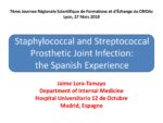 Staphylococcal and streptococcal prosthetic joint infection : the Spanish experience