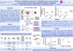 Evidence of adaptative processes of Staphylococcus aureus isolates in the course of chronic bone and joint infections in patients