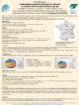 Antibiothérapie suppressive (ABS) dans les infections de prothèses ostéo-articulaires (IPOA) chez le patient âgé