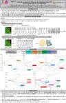 Klebsiella pneumoniae réductrice de carbapenemases KPC : Activité bactéricide de six antibiotiques