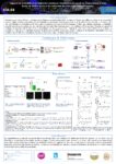 Capacité du linézolide et du tédizolide à éradiquer Staphylococcus aureus en intracellulaire et sous forme de biofilm au cours du traitement des infections ostéo-articulaires