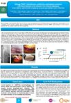 Salvage ‘DAIR’ (debridement, antibiotics and implant retention) with local injection of a selected mix of bacteriophages in an elderly patient with relapsing S. aureus prosthetic-joint infection