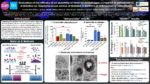 Evaluation of the efficacy of an assembly of three bacteriophages compared or associated to antibiotics on Staphylococcus aureus embedded in biofilms or internalised in osteoblasts