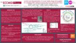 Isolation and characterization of a novel Jumbo phage active against the emerging ST307 carbapenemase-producing K. pneumoniae clone