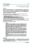 Plasma Cell Infiltration on Histopathological Samples of Chronic Bone and Joint Infections due to Cutibacterium acnes: A series of 21 Cases