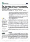 Phage Therapy against Staphylococcus aureus: Selection and Optimization of Production Protocols of Novel Broad-Spectrum Silviavirus Phages