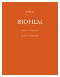 Biofilm